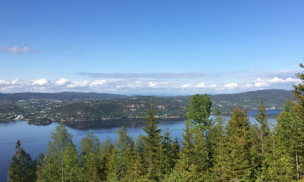 Vardåsen | Drammen Byleksikon