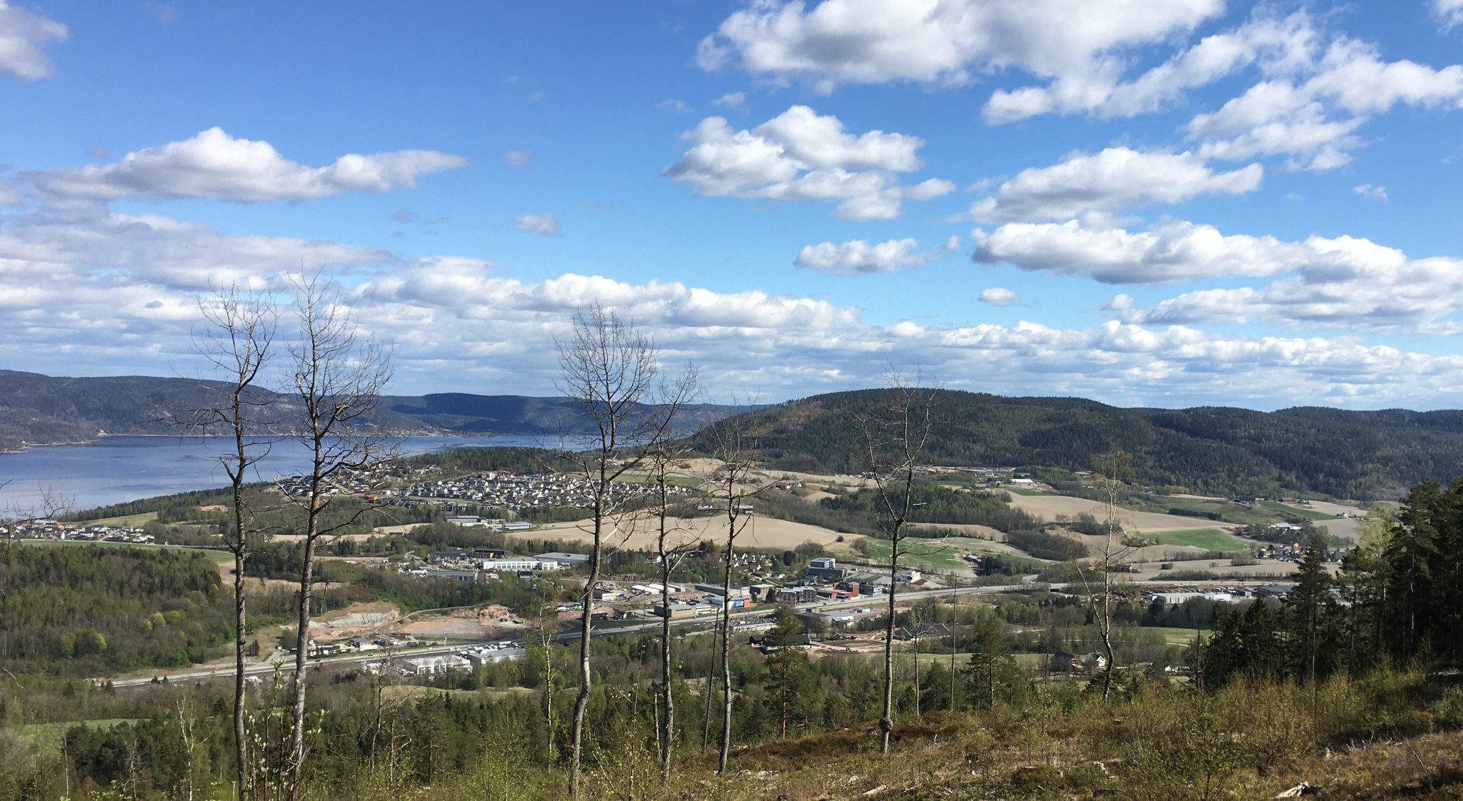 Vardåsen | Drammen Byleksikon