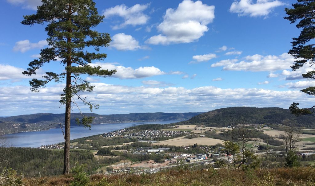 Vardåsen | Drammen Byleksikon